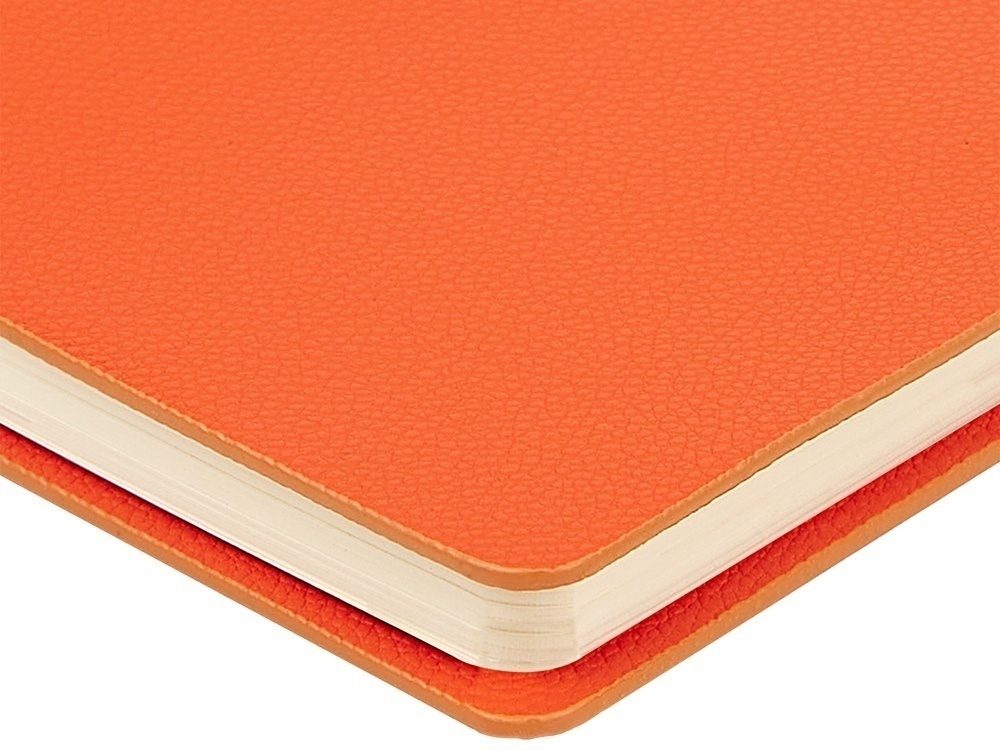 Ежедневник недатированный А5 Alba