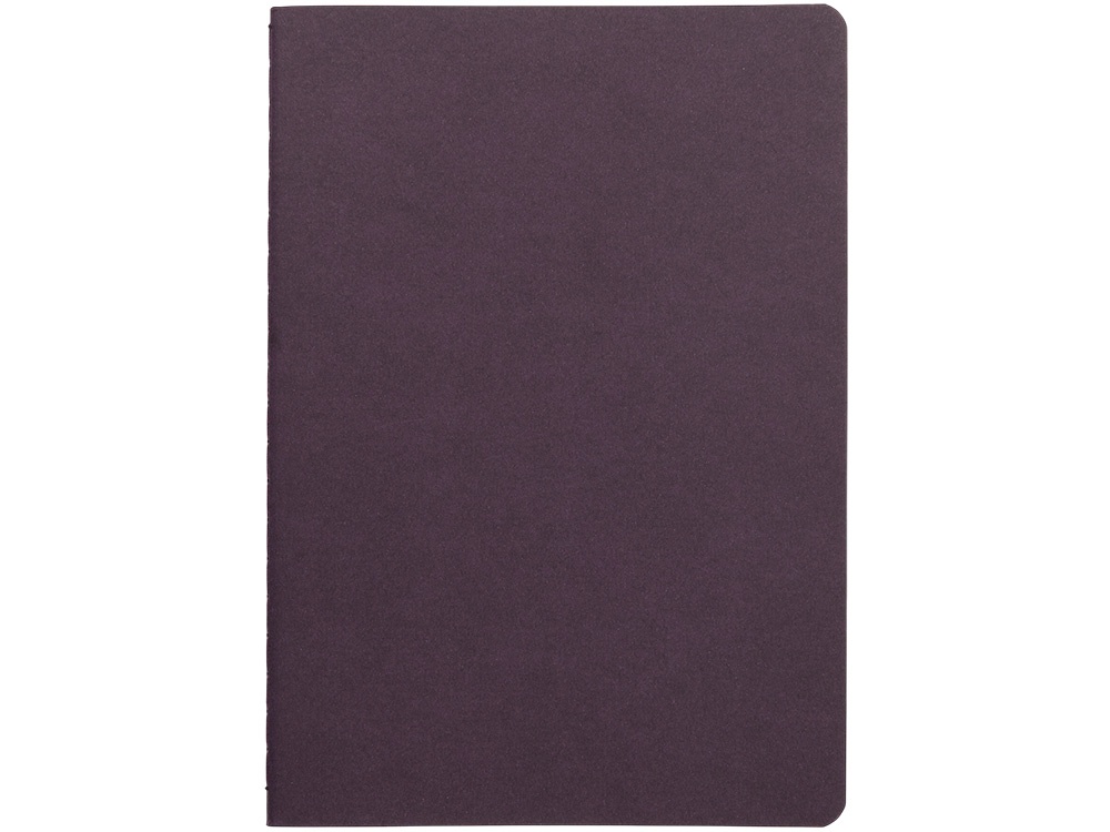 Бизнес тетрадь А5 Pragmatic