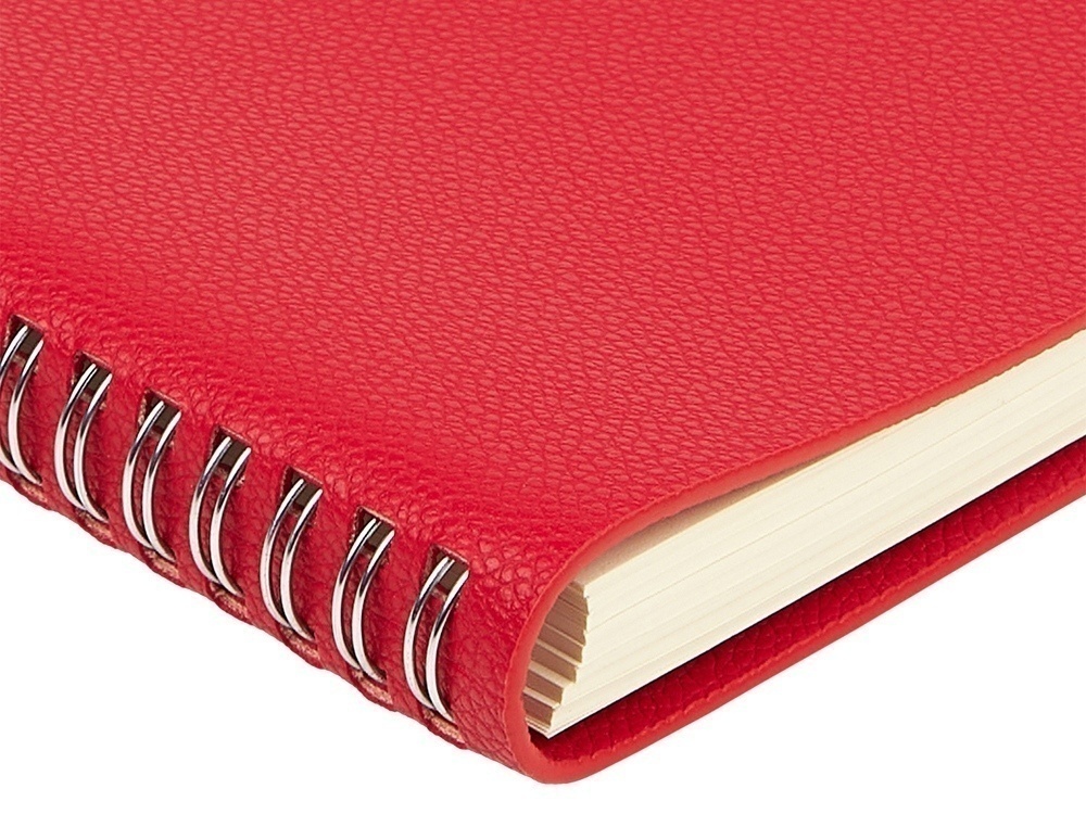 Ежедневник недатированный А5 Alba