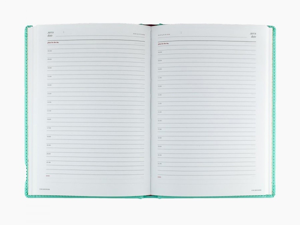 Ежедневник недатированный А4 Velvet