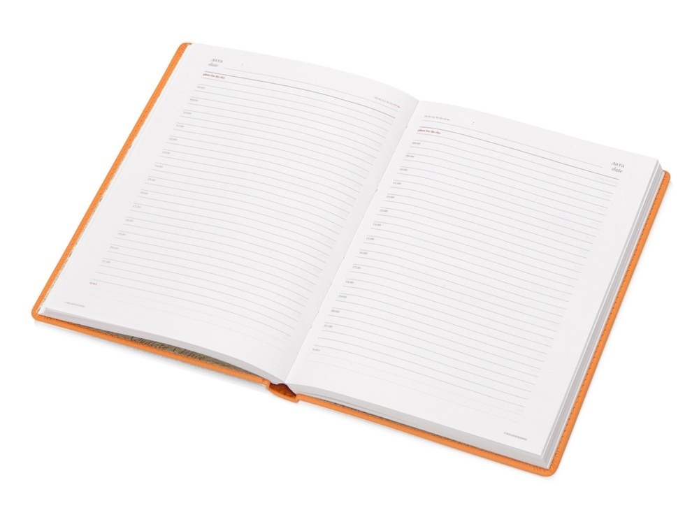 Ежедневник недатированный А4 Velvet