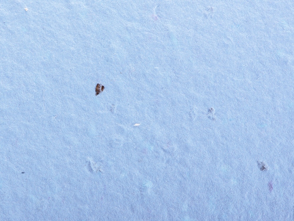 Блокнот А6 с бумажным карандашом и семенами цветов микс