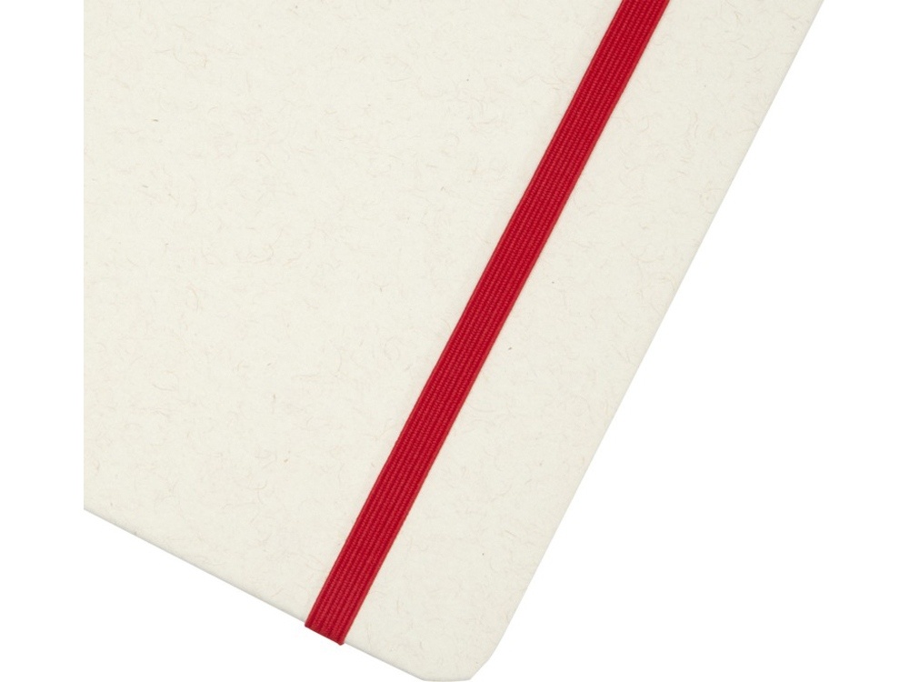 Блокнот A5 Bass