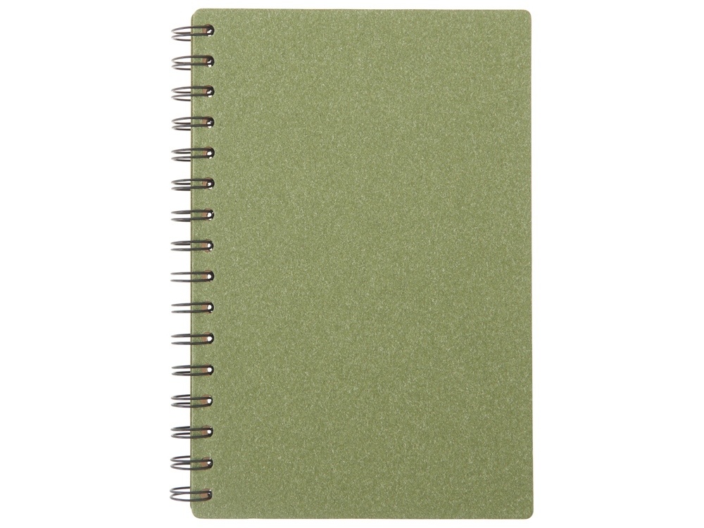 Блокнот А5 на спирали Mania