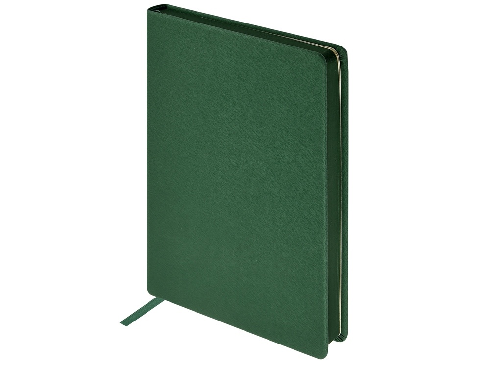 Ежедневник А5 Megapolis Color soft-touch