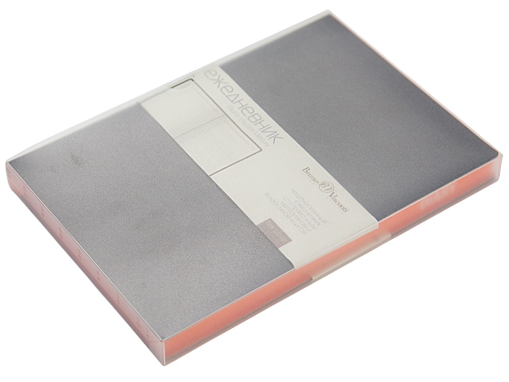 Ежедневник недатированный А5 Mercury