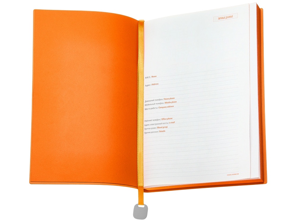 Ежедневник недатированный А5 Mercury