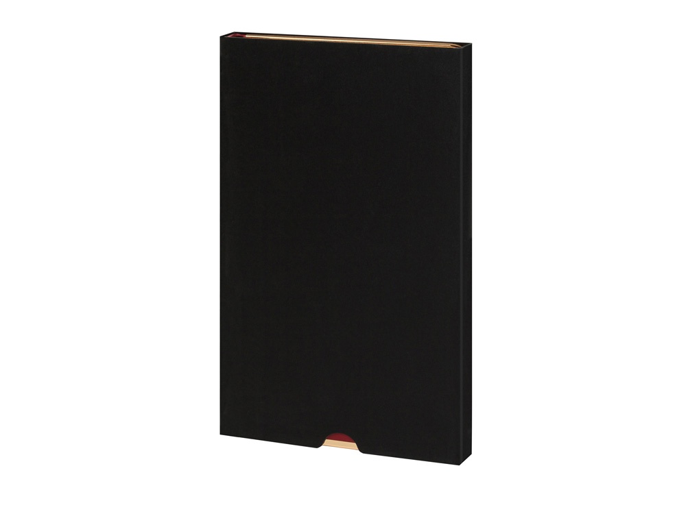 Ежедневник недатированный A5 Chelsea